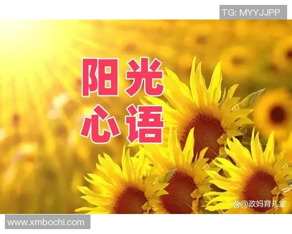 罗智的成长之路：从平凡到卓越的奋斗历程与人生启示