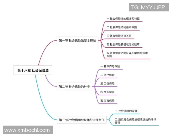 探索社会与法的交汇点解析法律对社会的影响与变革
